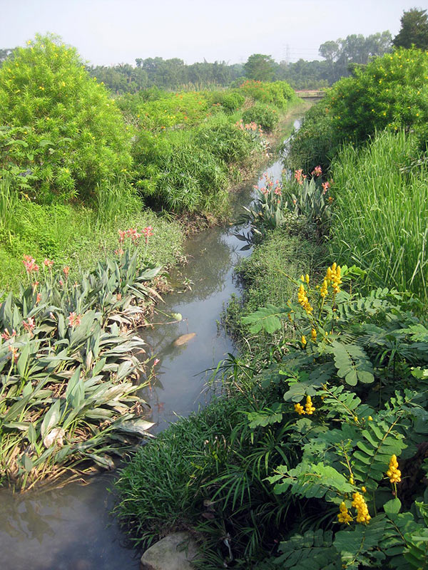 Ditch between fields