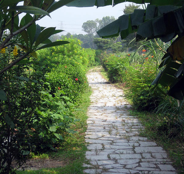 Path to the fields